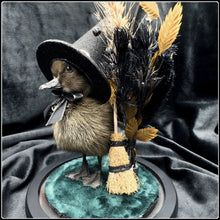 Load image into Gallery viewer, Witch Duckling - ‘Zelah’
