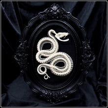 Load image into Gallery viewer, Viper Skeleton on Gothic Style Frame
