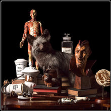 Load image into Gallery viewer, Apotheca - Limited Edition Fine Art Photographic Print
