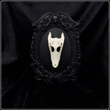 Load image into Gallery viewer, Crocodile Skull on Black Rose Frame
