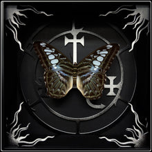 Load image into Gallery viewer, Parthenos sylvia Lilith Sigil Frame
