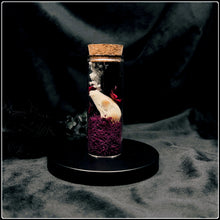 Load image into Gallery viewer, Cave Nectar Bat Skull in Glass Bottle
