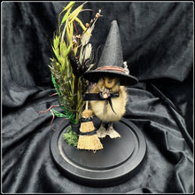 Load image into Gallery viewer, Witch Duckling - ‘Hilda’
