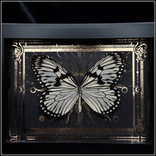 Load image into Gallery viewer, Idea idea Butterfly In Shadow Box Frame
