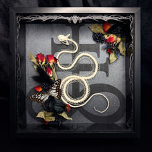 Load image into Gallery viewer, Rolling Viper Skeleton Leviathan Cross Frame
