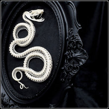 Load image into Gallery viewer, Viper Skeleton in Gothic Antique Style Frame
