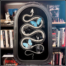 Load image into Gallery viewer, Black Copper Rat Snake Skeleton &amp; Morpho Butterflies in 19th Century Antique Frame
