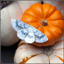Load image into Gallery viewer, ‘Witch’ Halloween Moth Set
