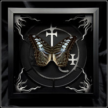 Load image into Gallery viewer, Parthenos sylvia Lilith Sigil Frame
