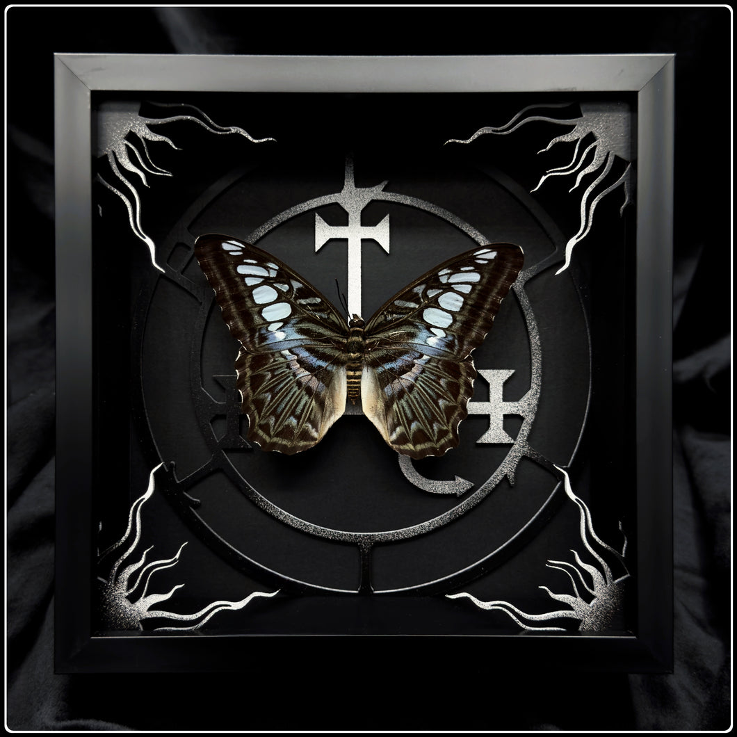 Parthenos sylvia Lilith Sigil Frame