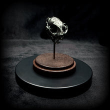 Load image into Gallery viewer, Domestic Cat Skull Pendant - White Bronze
