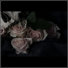 Load image into Gallery viewer, Ācēocian - Limited Edition Fine Art Photographic Print
