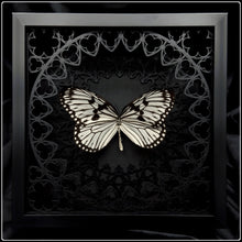 Load image into Gallery viewer, Idea Idea Sanctum Frame
