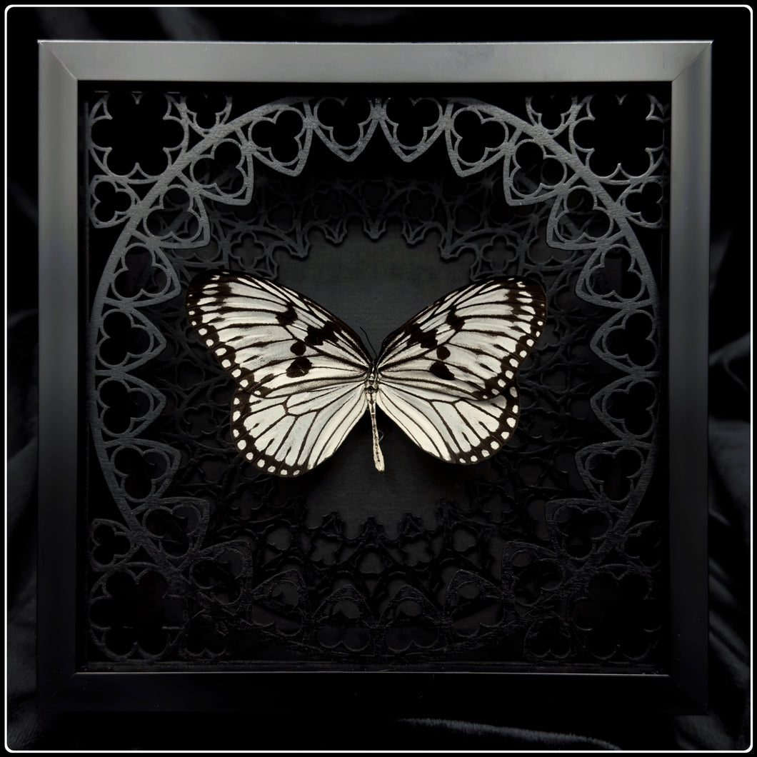 Idea Idea Sanctum Frame