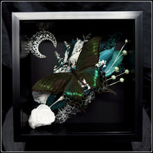 Load image into Gallery viewer, Papilio Maackii Butterfly with Botanicals and Crescent Moon
