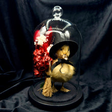 Load image into Gallery viewer, Witch Duckling - ‘Raven’
