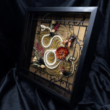 Load image into Gallery viewer, Rolling White Lipped Viper Skeleton Shadow Box
