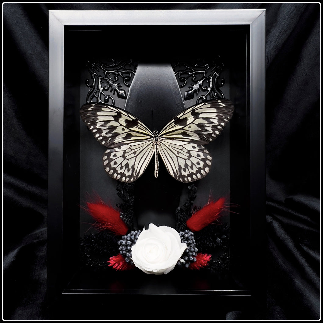 Linnaeus’ idea Butterfly with Coffin and Botanicals