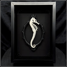 Load image into Gallery viewer, Seahorse Skeleton Shadow Box
