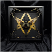 Load image into Gallery viewer, Chalcosoma atlas Unicursal Hexagram Frame
