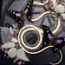 Load image into Gallery viewer, Rolling Viper ‘Necronomicon’ Frame
