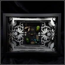 Load image into Gallery viewer, Beetle Quintet Antiquity Frame
