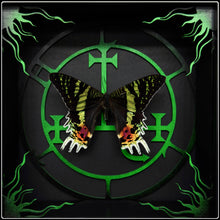 Load image into Gallery viewer, Chrysiridia rhipheus Lilith Sigil Frame
