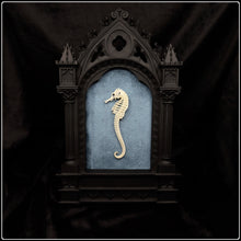 Load image into Gallery viewer, Seahorse Skeleton on Cathedral Frame
