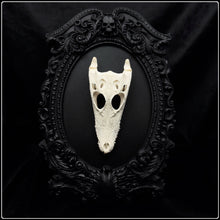 Load image into Gallery viewer, Crocodile Skull on Black Rose Frame
