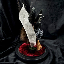 Load image into Gallery viewer, Witch Duckling - ‘Raven’
