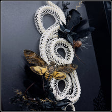 Load image into Gallery viewer, Bamboo Pit Viper &amp; Death’s Head Moth Frame
