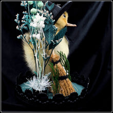 Load image into Gallery viewer, Witch Duckling - ‘Clarice’
