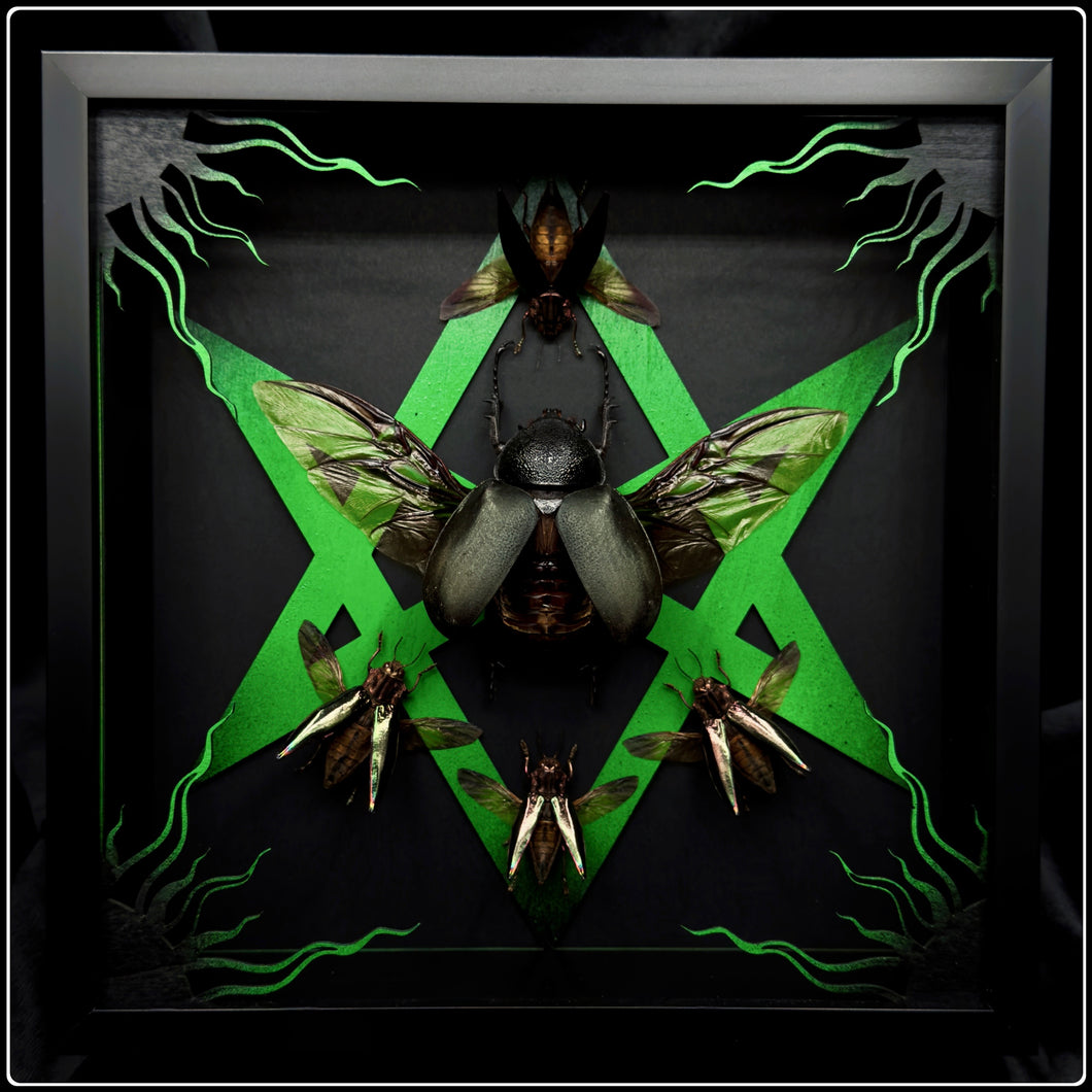 Five Beetles Unicursal Hexagram Frame