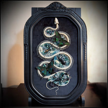 Load image into Gallery viewer, Snake Skeleton, Scorpion, Spider, Butterflies, Beetle &amp; Bee in Convex Glass Frame
