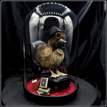 Load image into Gallery viewer, Victorian Duckling - ‘Professor Caspian Frederickton’
