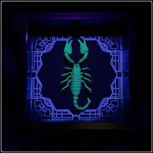 Load image into Gallery viewer, Heterometrus cyaneus Vanguard UV Reactive Frame
