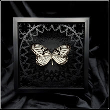 Load image into Gallery viewer, Idea Idea Sanctum Frame
