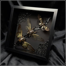 Load image into Gallery viewer, Cicada Trio Frame
