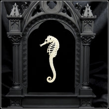 Load image into Gallery viewer, Seahorse Skeleton on Cathedral Frame
