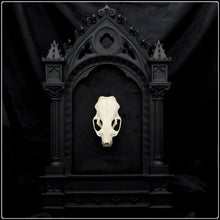 Load image into Gallery viewer, European Mink Skull on Cathedral Frame
