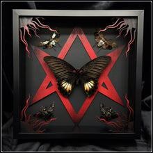 Load image into Gallery viewer, Papilio memnon, Planthopper and Bee Unicursal Hexagram Frame
