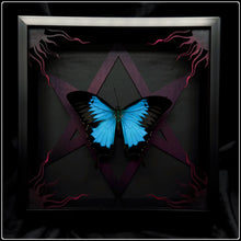 Load image into Gallery viewer, Papilio ulysses Unicursal Hexagram Frame
