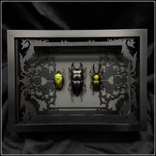 Load image into Gallery viewer, Beetle Trio Antiquity Frame
