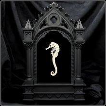 Load image into Gallery viewer, Seahorse Skeleton on Cathedral Frame
