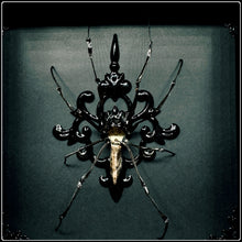 Load image into Gallery viewer, Golden Orb Weaving Spider Frame
