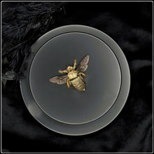 Load image into Gallery viewer, Preserved Great Carpenter Bee Specimen - Male
