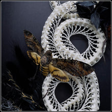 Load image into Gallery viewer, Bamboo Pit Viper &amp; Death’s Head Moth Frame
