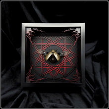 Load image into Gallery viewer, Lepidiota stigma Heptogram Frame
