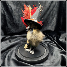 Load image into Gallery viewer, Witch Duckling - ‘Esme’
