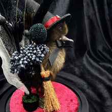 Load image into Gallery viewer, Witch Duckling - ‘Raven’
